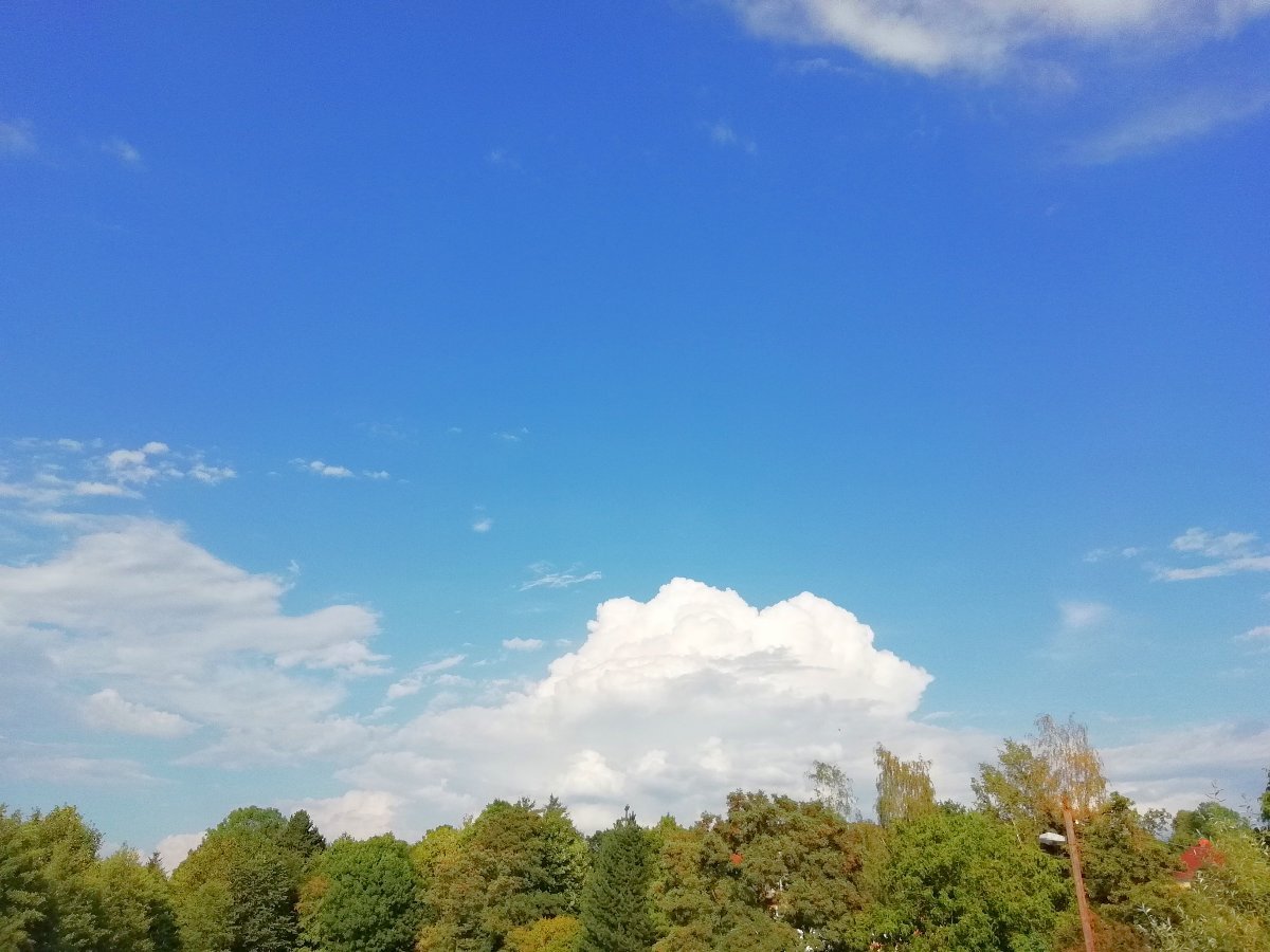 Jílové u Děčína