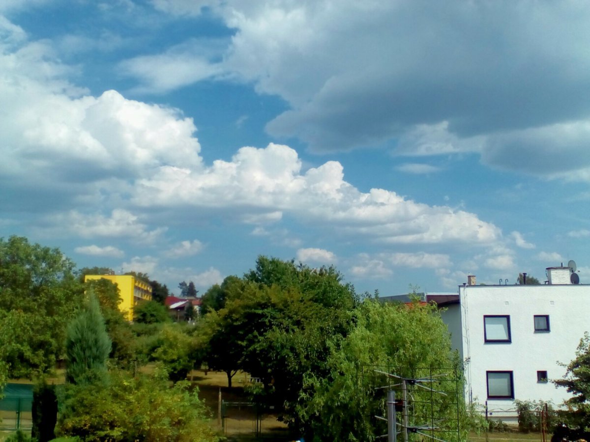 Hořice - Libonice
