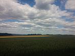 Kaliště