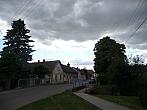 Třibřichy