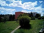 Borovina