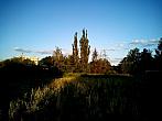 Borovina