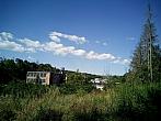 Borovina