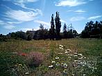 Borovina