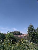 Vejvanovice