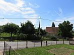 Třibřichy