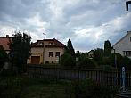 Třibřichy