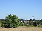 Neratovice