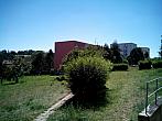 Borovina