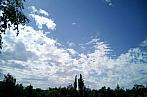 Borovina