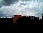 Borovina