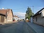 Třibřichy