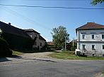 Třibřichy