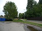 Třibřichy