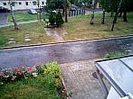 Borovina