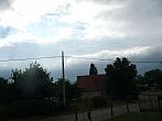 Třibřichy