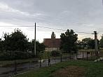 Třibřichy