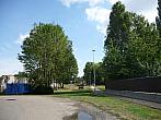 Třibřichy