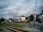 Borovina