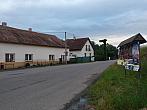 Třibřichy