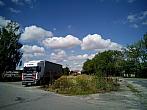 Borovina