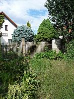 Třibřichy