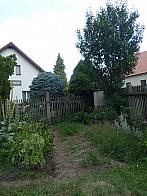 Třibřichy