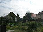 Třibřichy