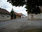 Třibřichy