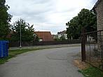 Třibřichy