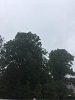 Fotografie