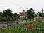 Třibřichy