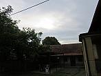 Třibřichy
