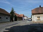 Třibřichy
