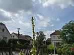 Třibřichy