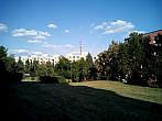 Borovina