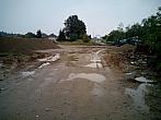 Borovina