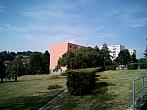 Borovina