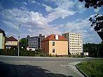 Borovina