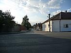 Třibřichy