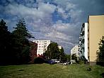 Borovina