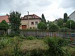 Třibřichy