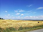 Hostákov