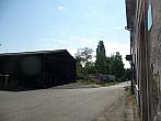 Třibřichy
