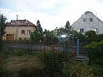 Třibřichy