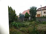 Třibřichy