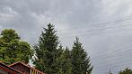 Dalovice