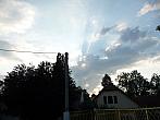 Třibřichy