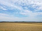 Hostákov