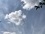 Tučapy